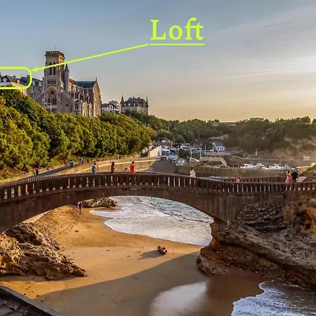 公寓 Loft Spacieux & Calme Surplombant L'ocean - Clim & Parking *